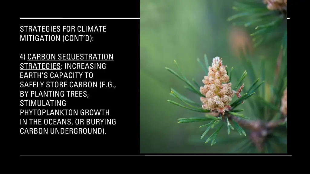 strategies for climate mitigation cont d 2