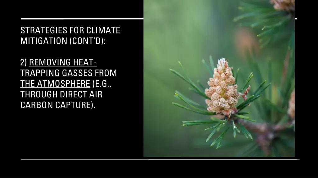 strategies for climate mitigation cont d