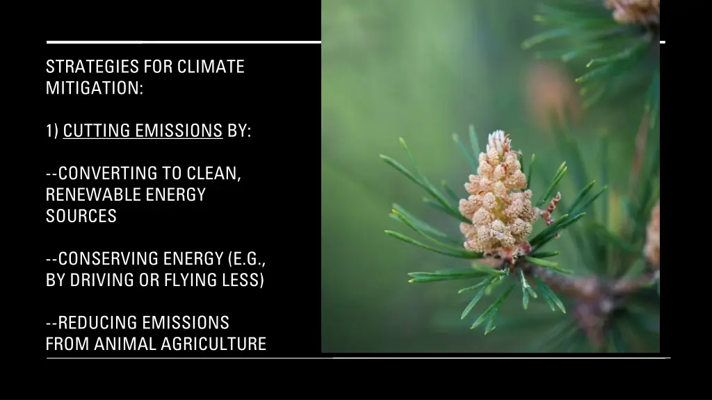 strategies for climate mitigation