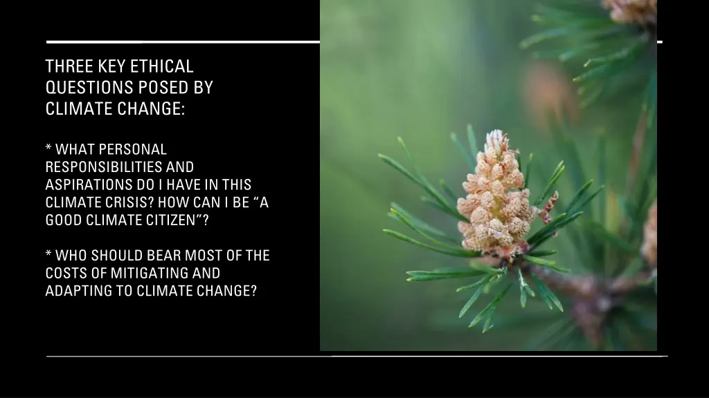 three key ethical questions posed by climate