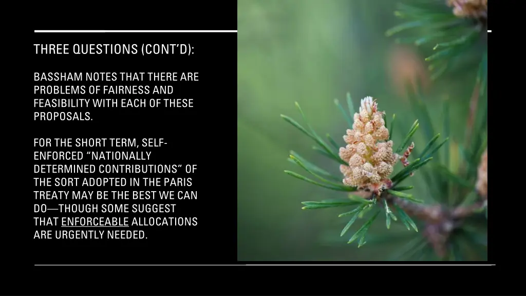 three questions cont d 13