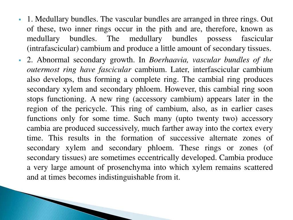 1 medullary bundles the vascular bundles