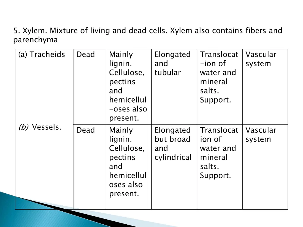 5 xylem mixture of living and dead cells xylem