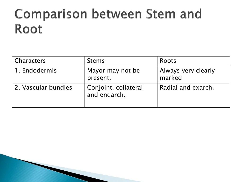 characters 1 endodermis
