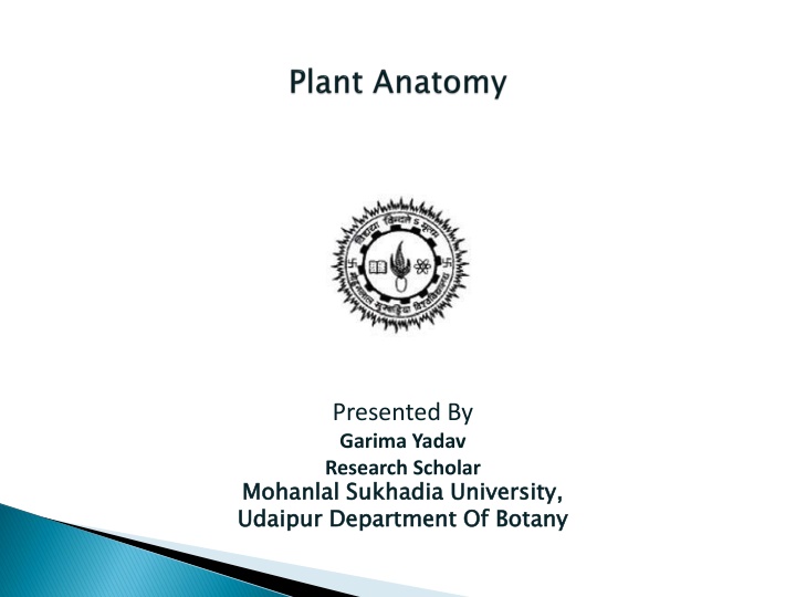 presented by garima yadav research scholar