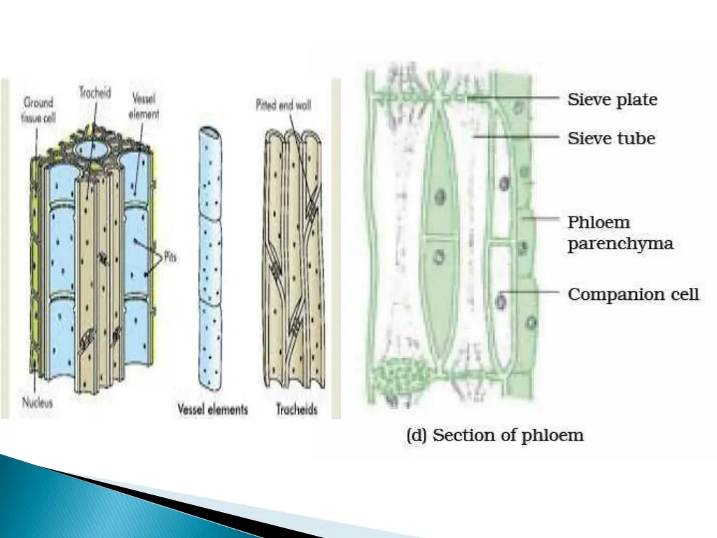 slide14
