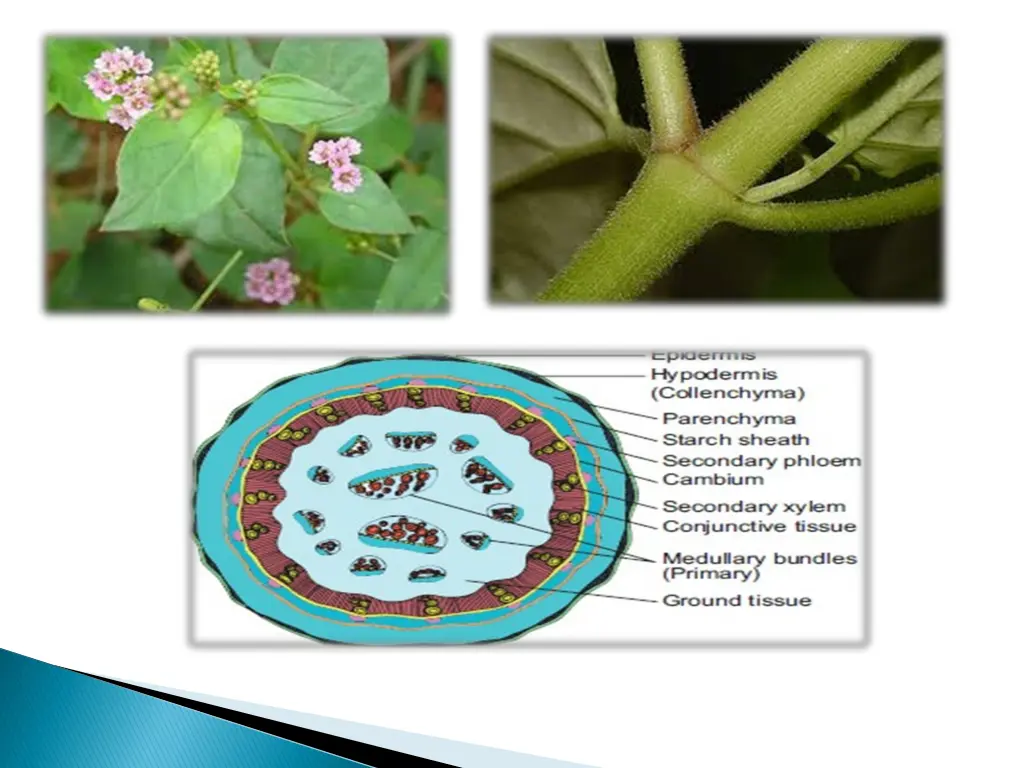 slide27