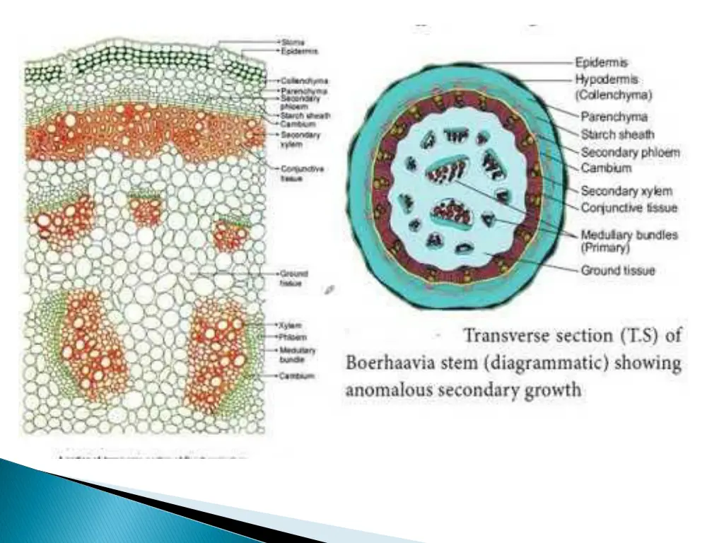 slide28