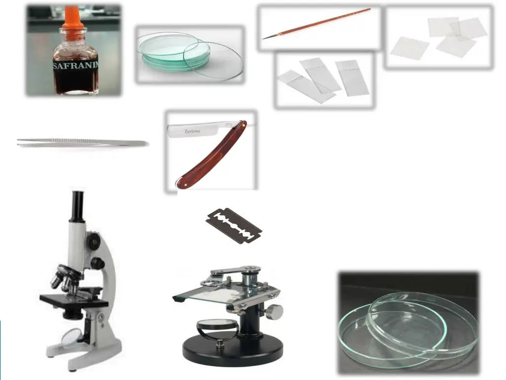 slide3