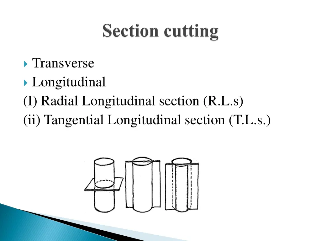 transverse longitudinal i radial longitudinal