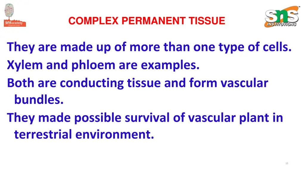 complex permanent tissue