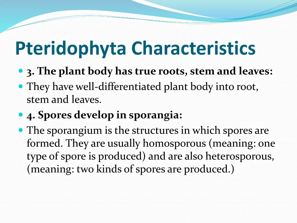 pteridophyta characteristics 1