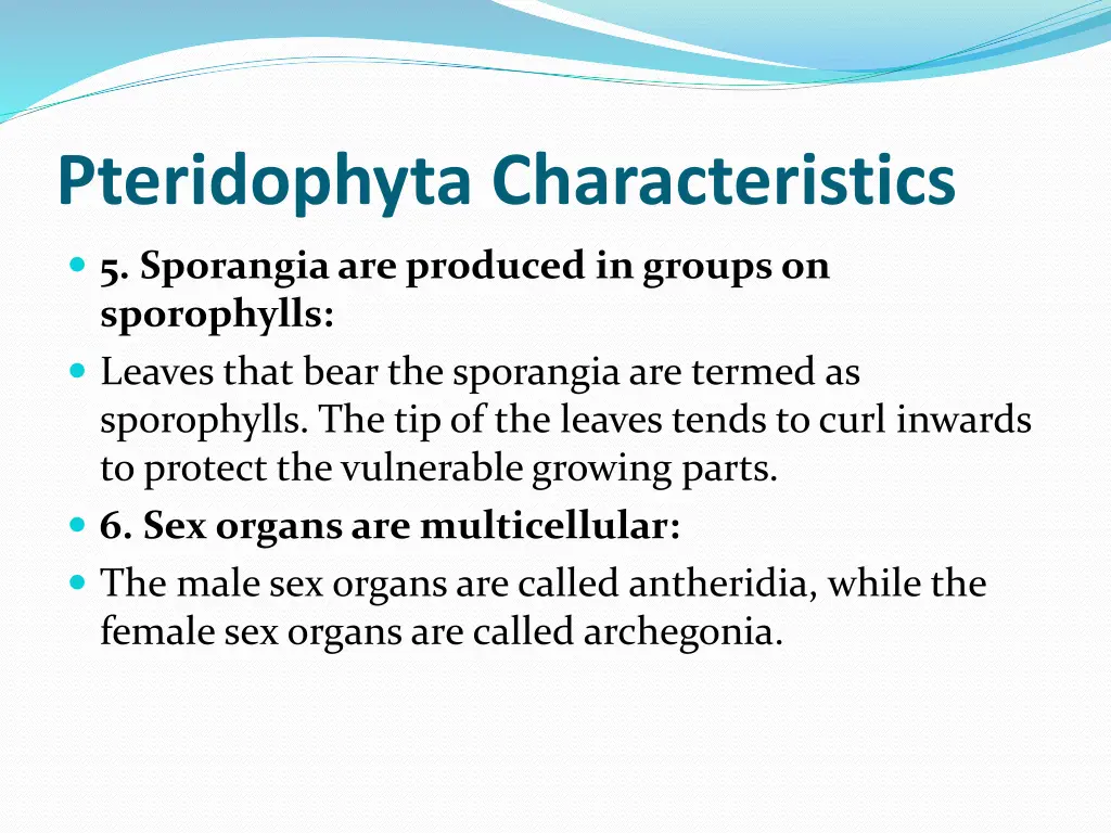 pteridophyta characteristics 2