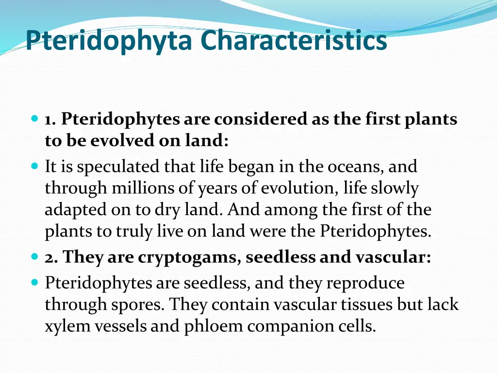 pteridophyta characteristics
