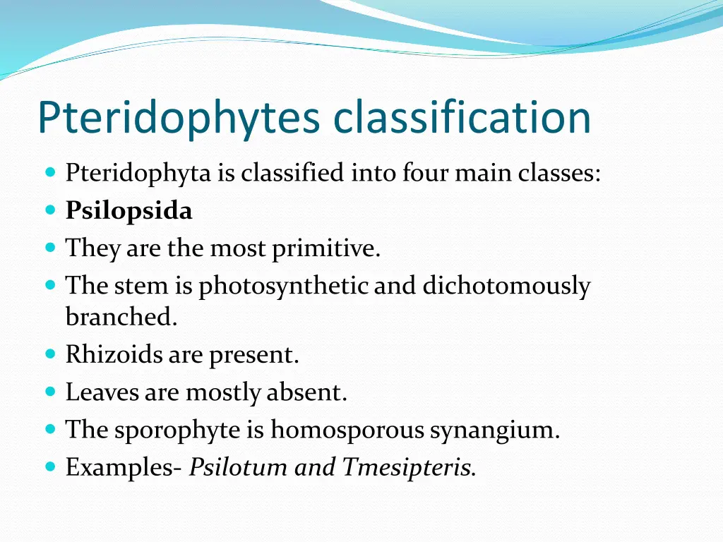 pteridophytes classification 2
