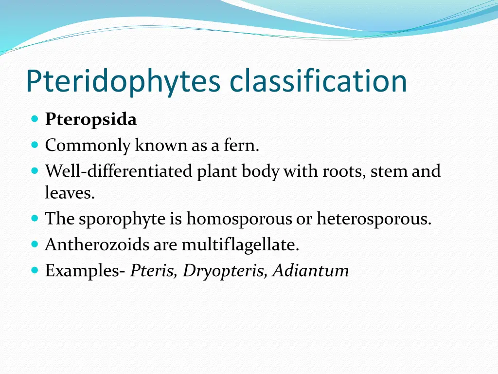 pteridophytes classification 3