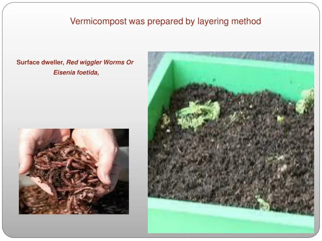 vermicompost was prepared by layering method