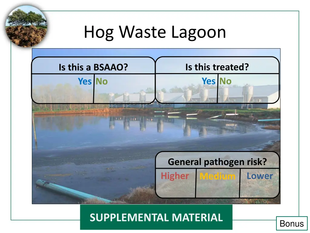 hog waste lagoon