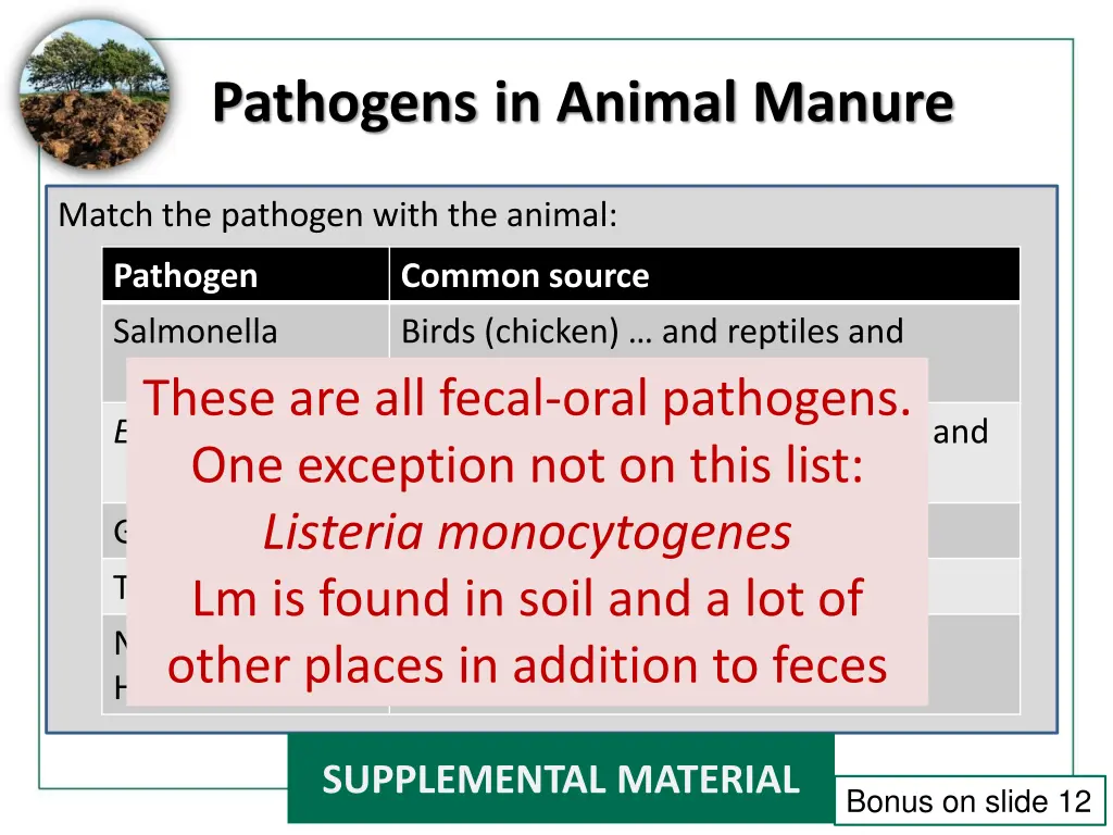 pathogens in animal manure
