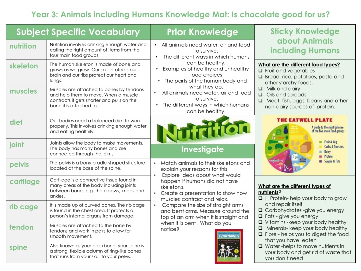 year 3 animals including humans knowledge
