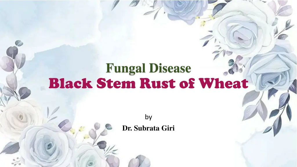 fungal disease