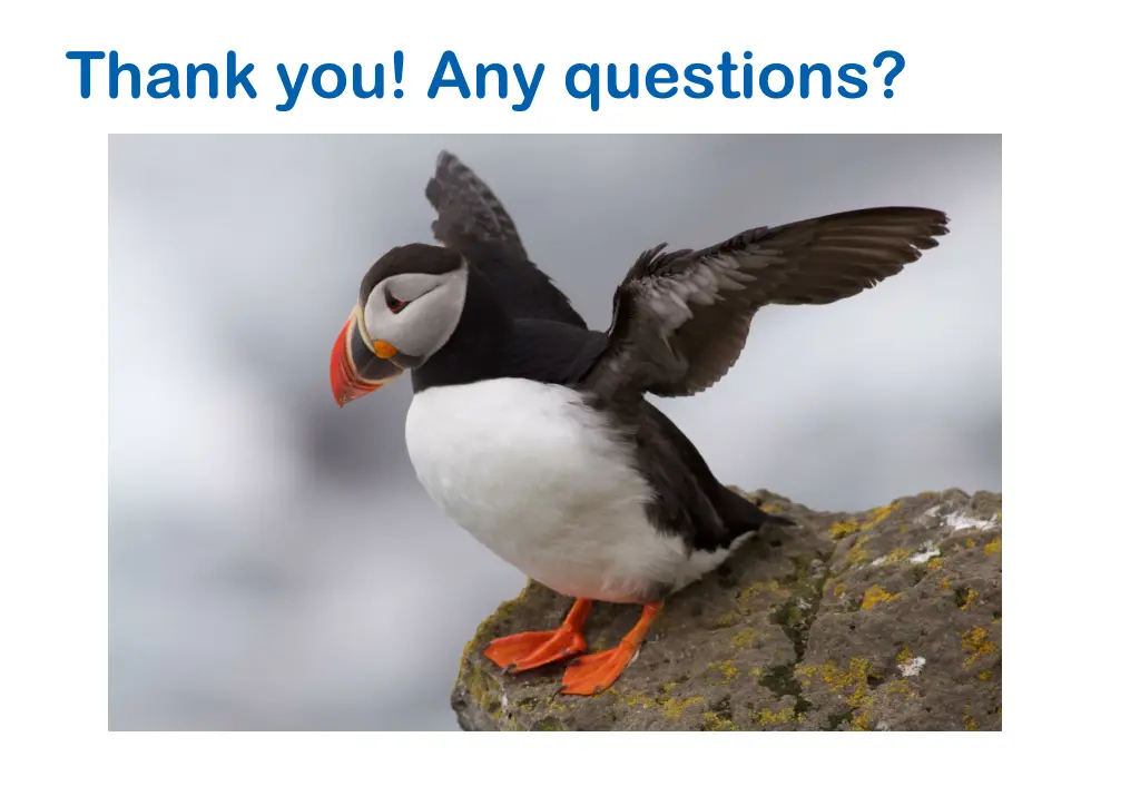 thank you any questions