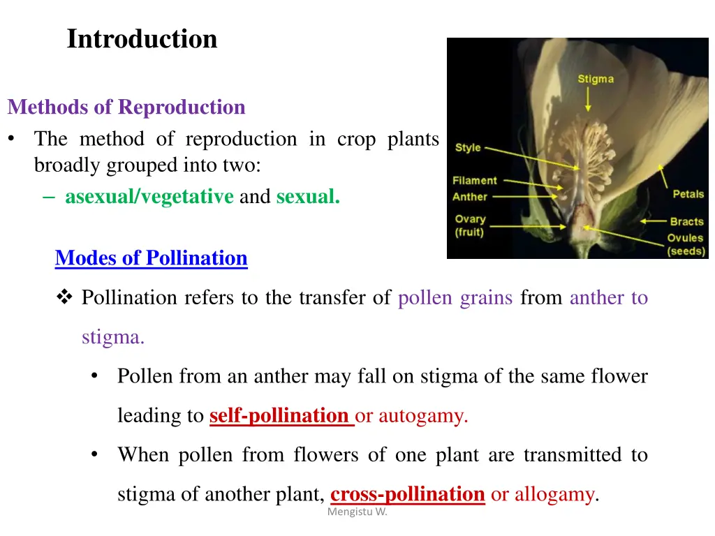 introduction