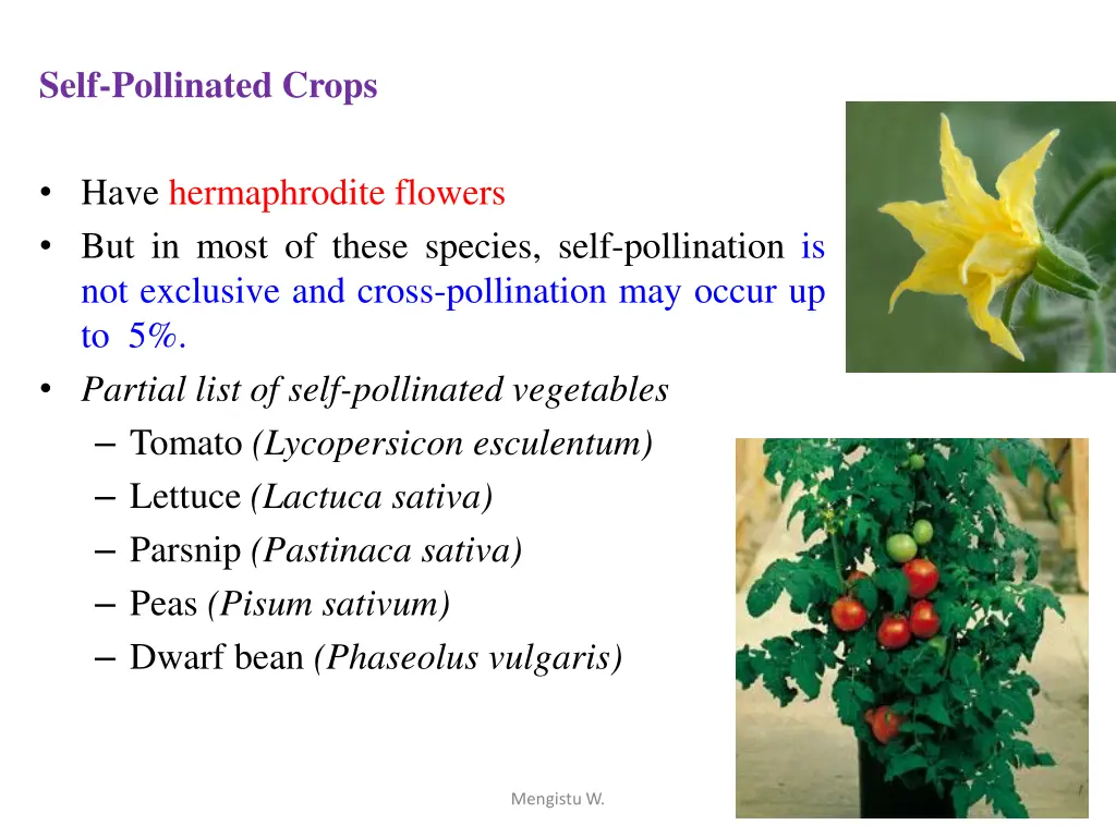 self pollinated crops