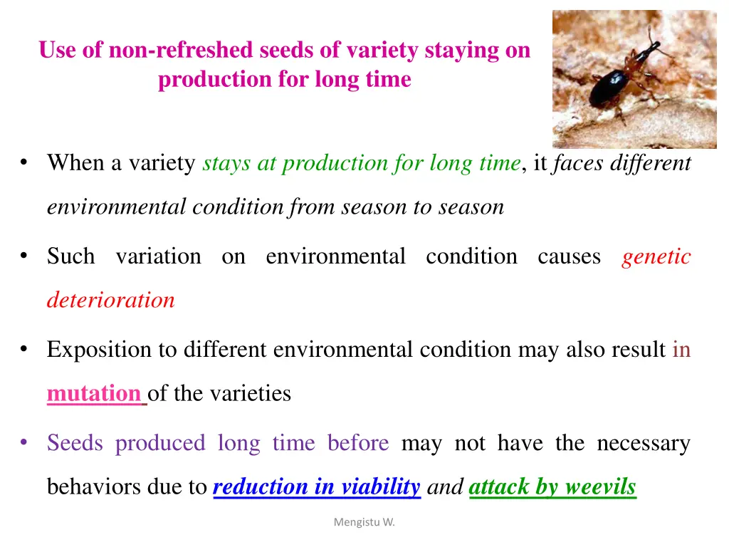 use of non refreshed seeds of variety staying