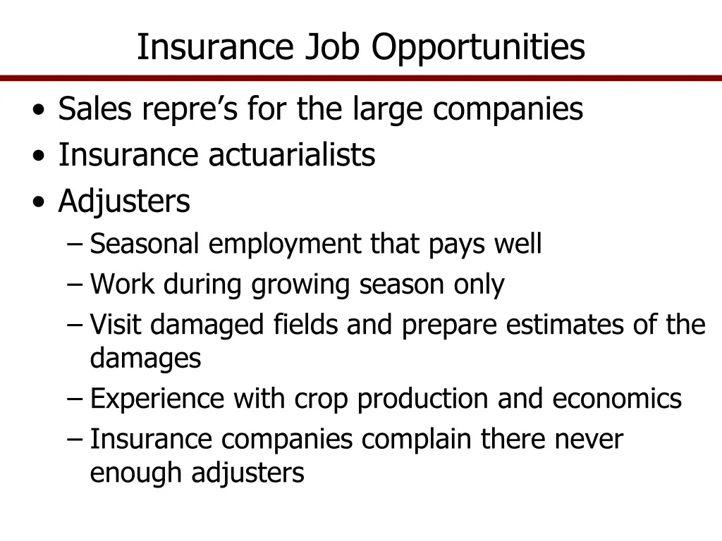 insurance job opportunities
