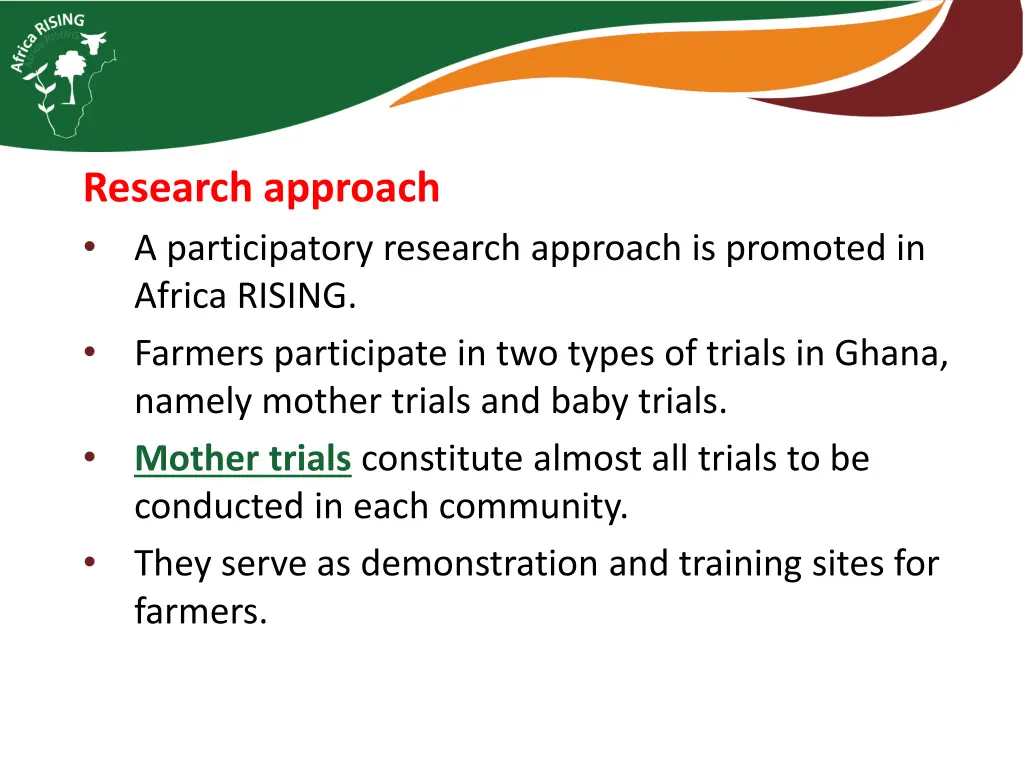 research approach a participatory research