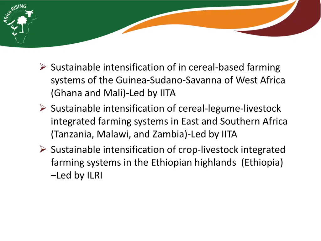 sustainable intensification of in cereal based