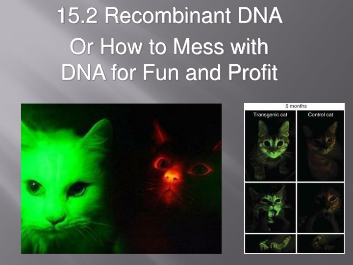 15 2 recombinant dna or how to mess with