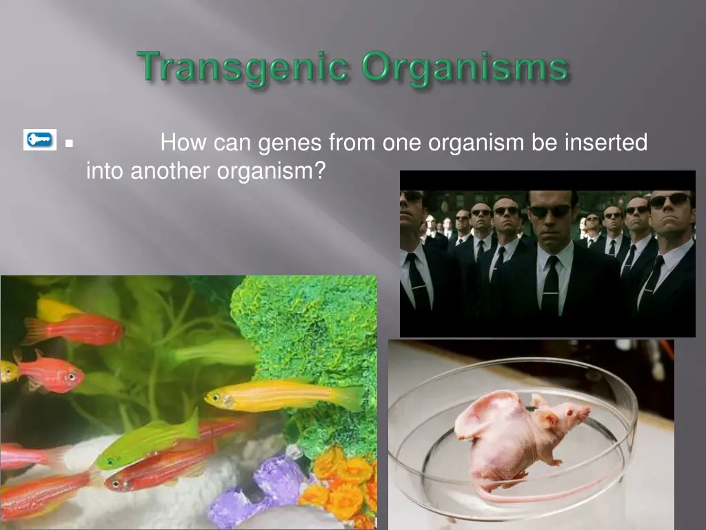 how can genes from one organism be inserted into