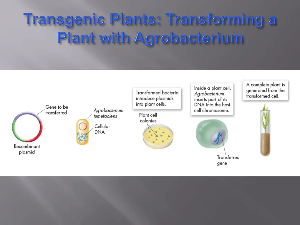 slide13
