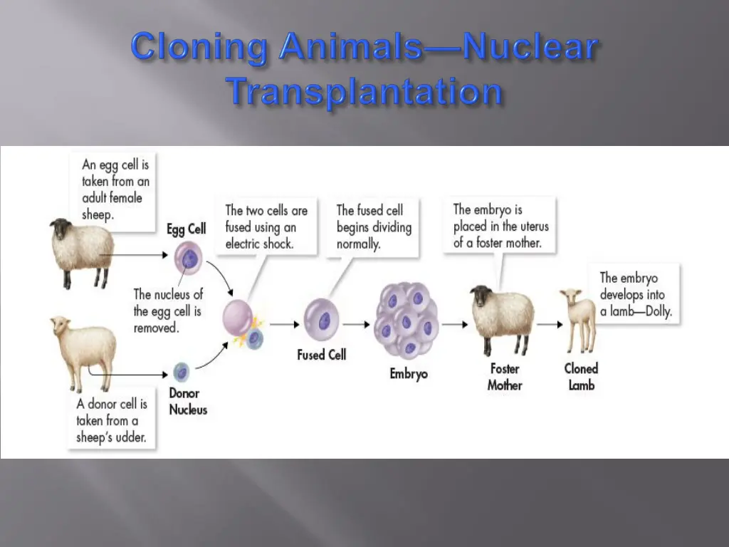 slide15