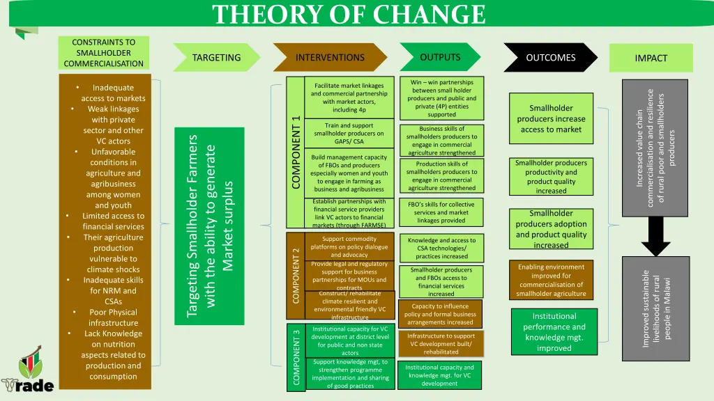 theory of change