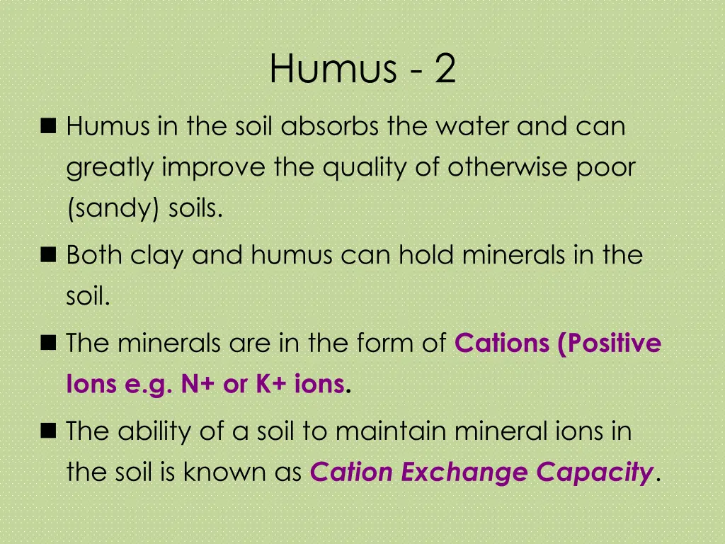 humus 2
