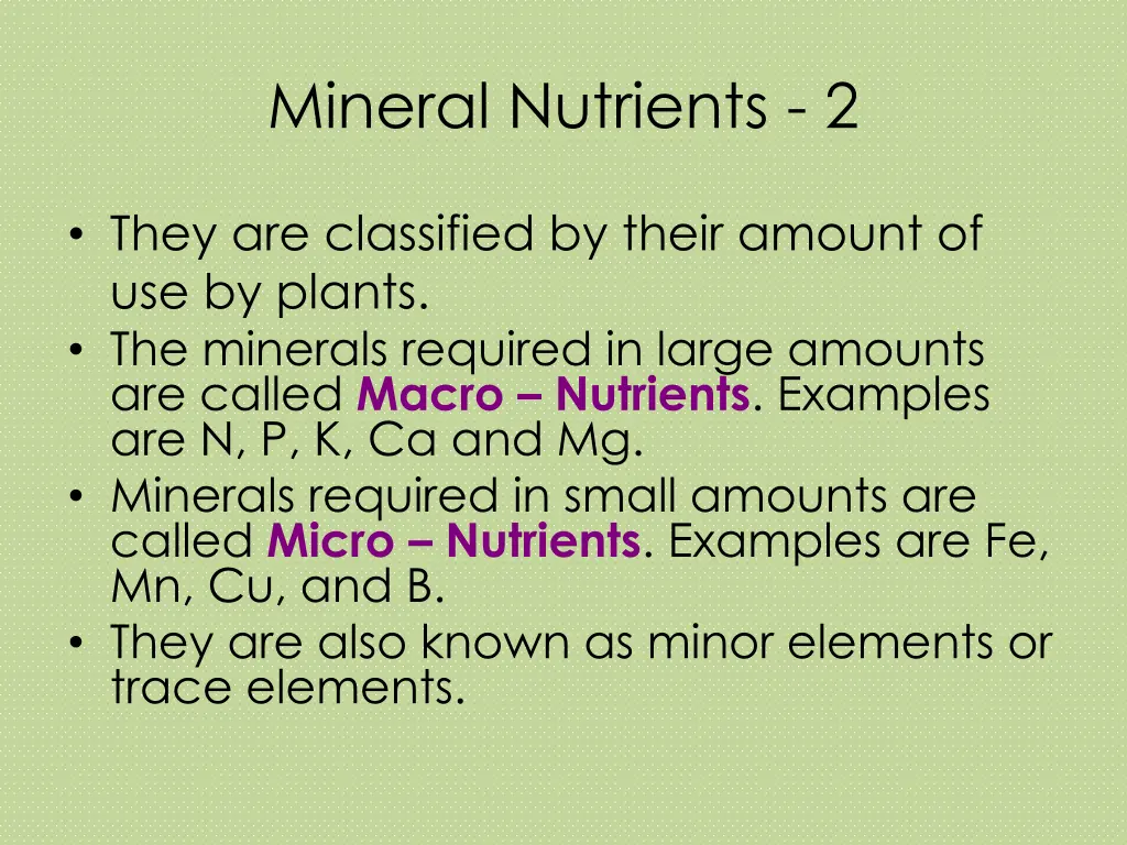 mineral nutrients 2