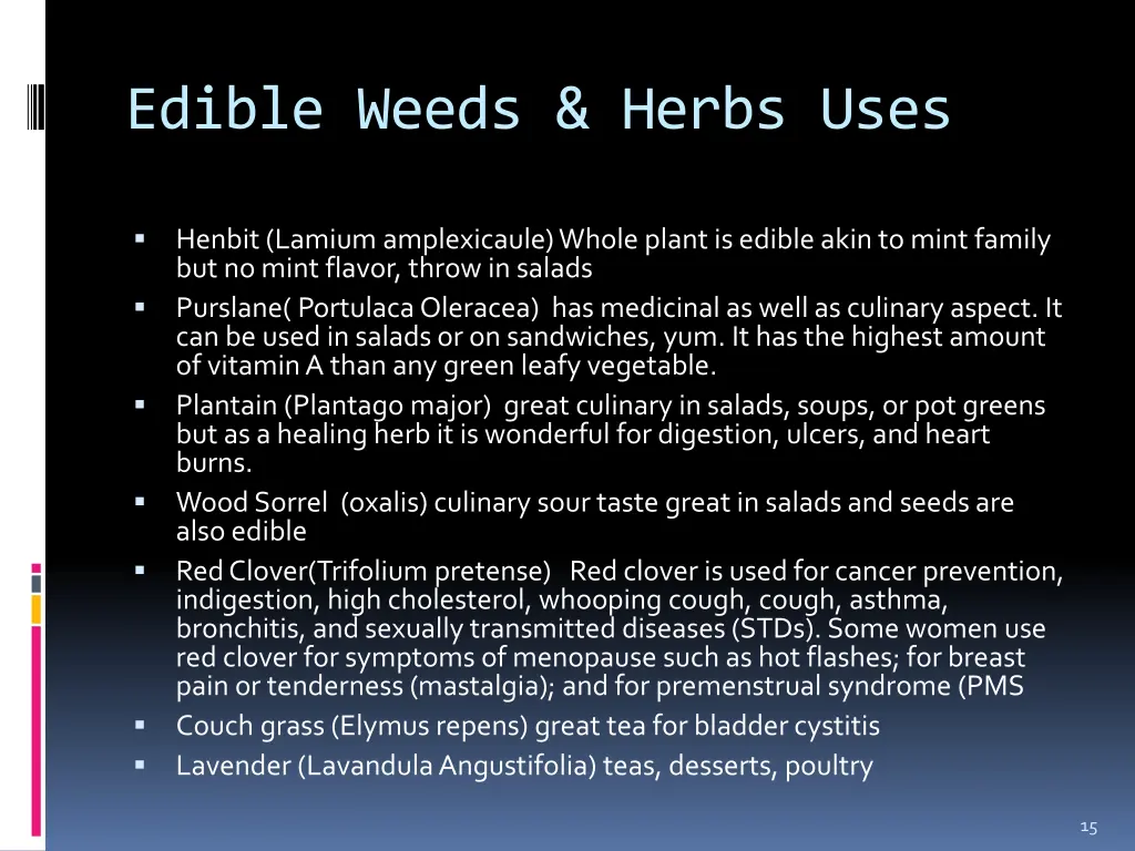 edible weeds herbs uses 2