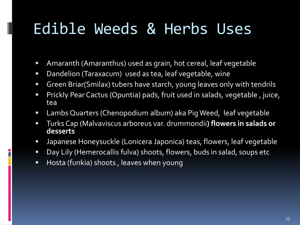edible weeds herbs uses