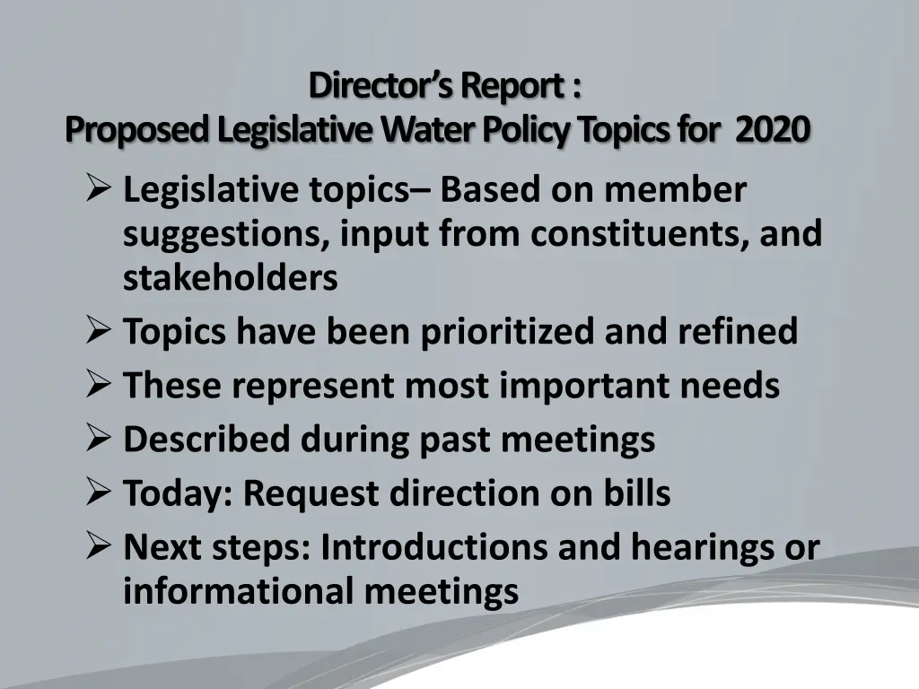 director s report