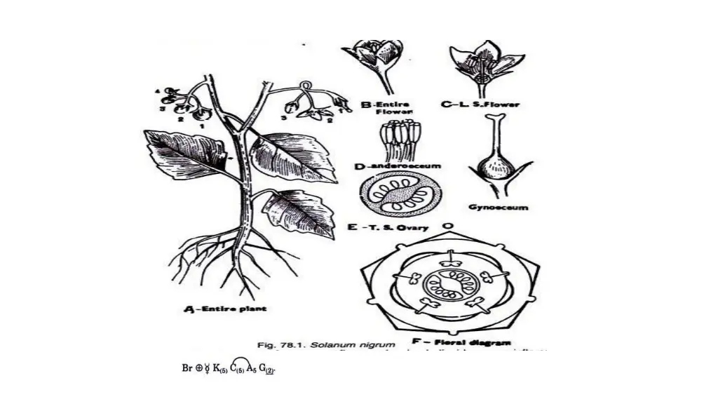 https www biologydiscussion com wp content