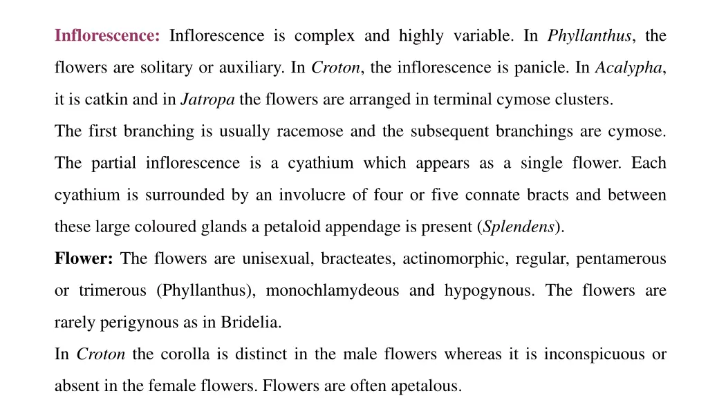 inflorescence inflorescence is complex and highly