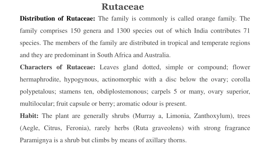 rutaceae