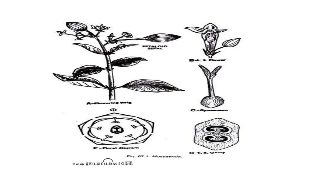 slide26
