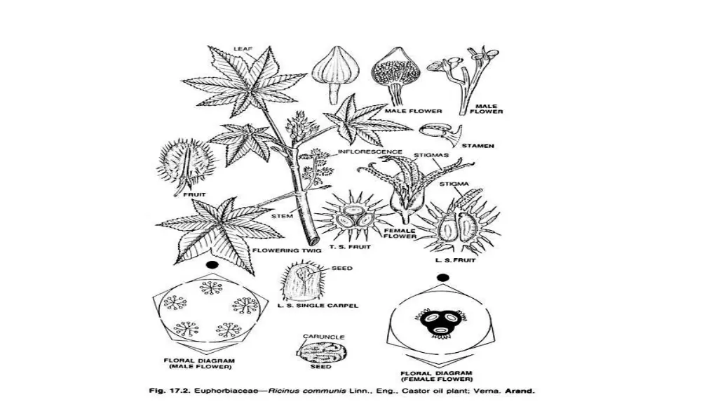 slide38