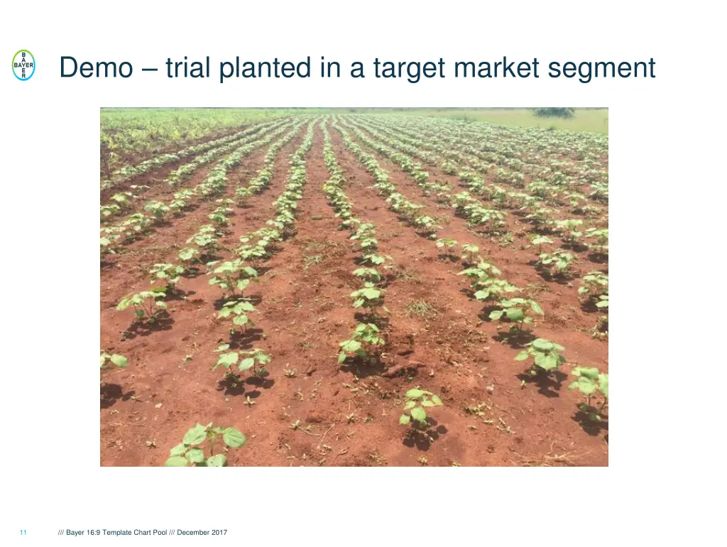 demo trial planted in a target market segment