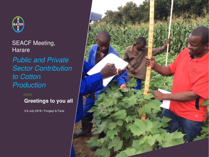 seacf meeting harare public and private sector
