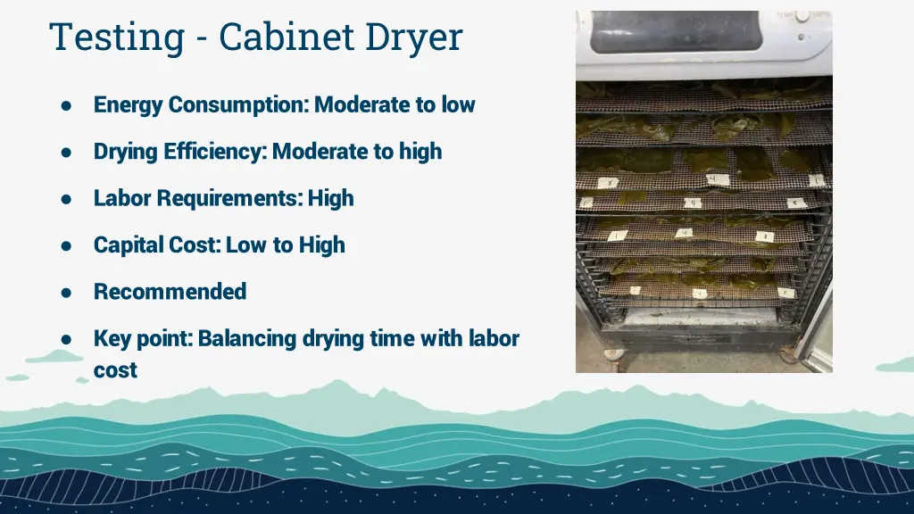 testing cabinet dryer